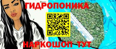 индика Ликино-Дулёво