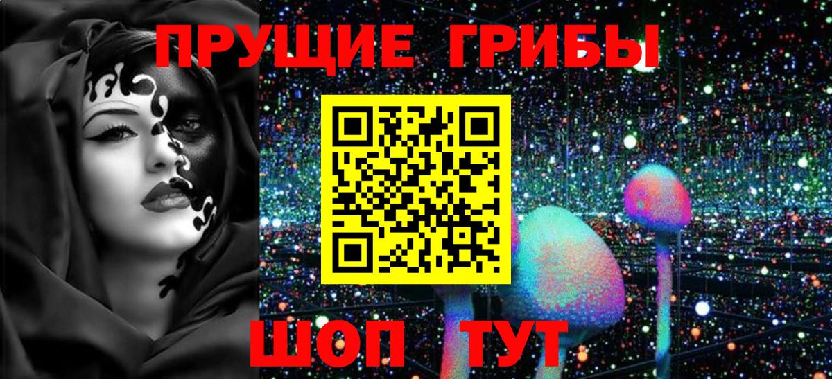 Димитровград  купить наркотик  Вход с VPN  Псилоцибиновые грибы Cubensis 